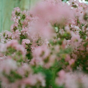 SEND ME YOUR BEST OFFER!